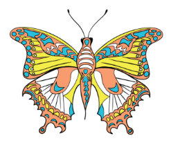 Metamorphosis by Foil Me:  A Day to Grow, Connect and Evolve Together